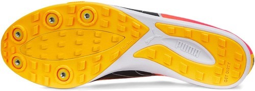 PUMA-EvoSpeed Crossfox 4-1