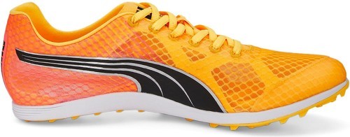 PUMA-EvoSpeed Crossfox 4-2