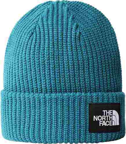 THE NORTH FACE-SALTY DOG BEANIE-image-1