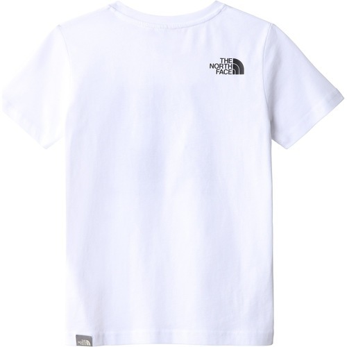 THE NORTH FACE-TEENS BOX S/S TEE-1