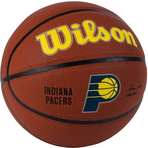 WILSON-Wilson Team Alliance Indiana Pacers Ball-1