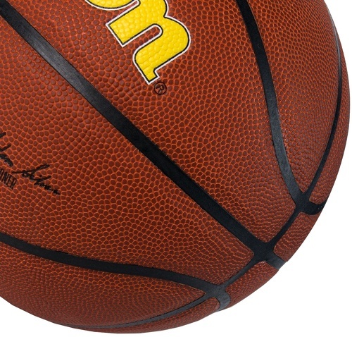 WILSON-Wilson Team Alliance Indiana Pacers Ball-2