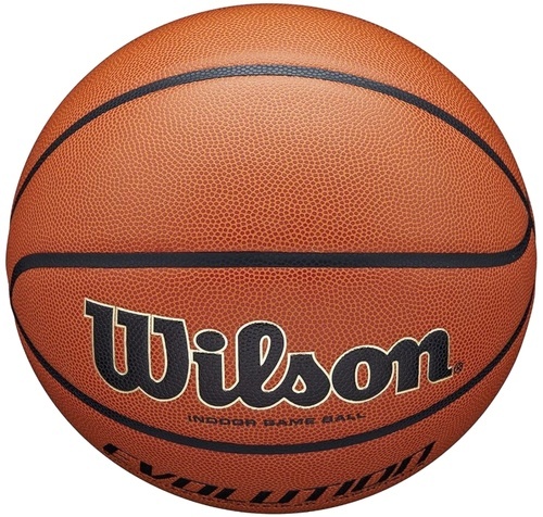 WILSON-Evolution - Ballon de basketball-2