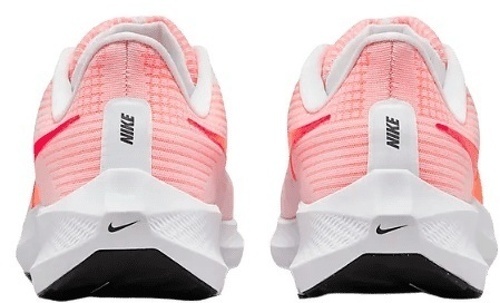 NIKE-Pegasus 39-1