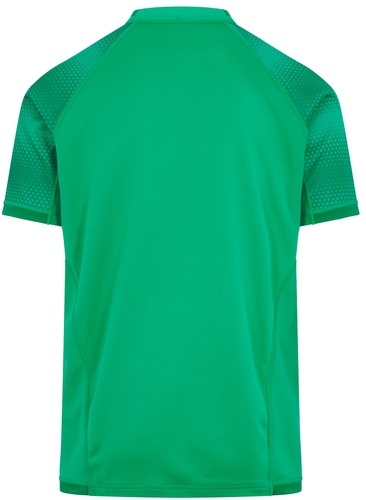CANTERBURY-Maillot Irlande Domicile 2022/2023-1