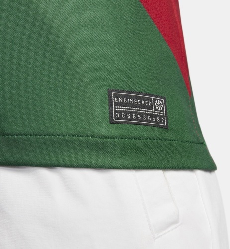 NIKE-Maillot Portugal Domicile Coupe du Monde 2022-3