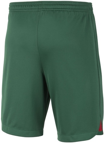 NIKE-Short Portugal Domicile 2022/2023 Vert Junior-1