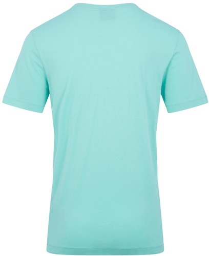 CANTERBURY-T-shirt Irlande Team Vert-1
