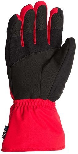 ROSSIGNOL-Rossignol Gants Tech Impr-1