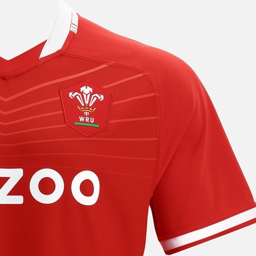 MACRON-Maillot Domicile enfant Pays de Galles WRU 2021/22-2