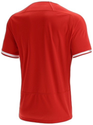 MACRON-Maillot Domicile enfant Pays de Galles WRU 2021/22-1