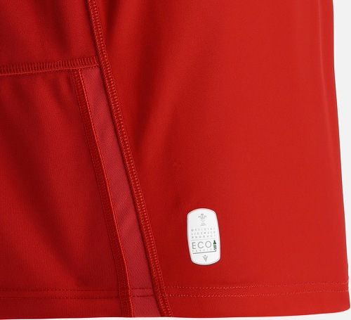 MACRON-Maillot Domicile enfant Pays de Galles WRU 2021/22-4