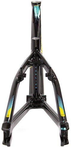 Stay Strong-Cadre Stay Strong For Life V2 - Black/Yellow/Teal-4