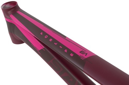 Stay Strong-Cadre Stay Strong For Life V3 - Wine-2