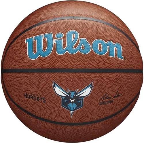 WILSON-Wilson Team Alliance Charlotte Hornets Ball-image-1