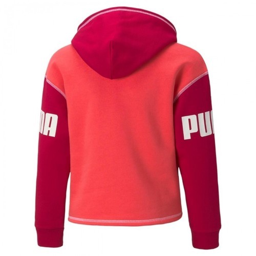 PUMA-PUMA FELPA POWER HOODIE FL BAMBINA (DA 5 A 16 ANS)-1