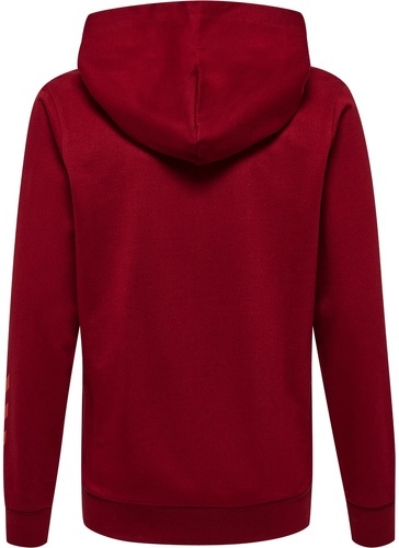 HUMMEL-Offgrid Cotton Hoodie-1