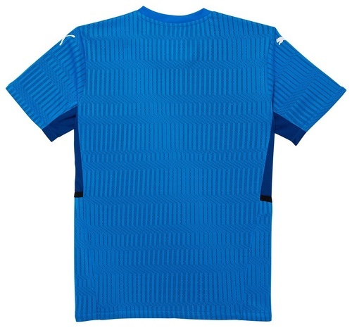 PUMA-Teamcup - T-shirt de football-1