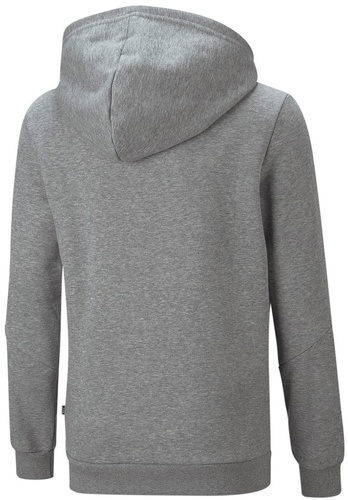 PUMA-Ess+ Tape Full-Zip Hoodie Fl B-1