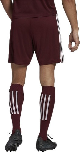 adidas Performance-Short Squadra 21-2