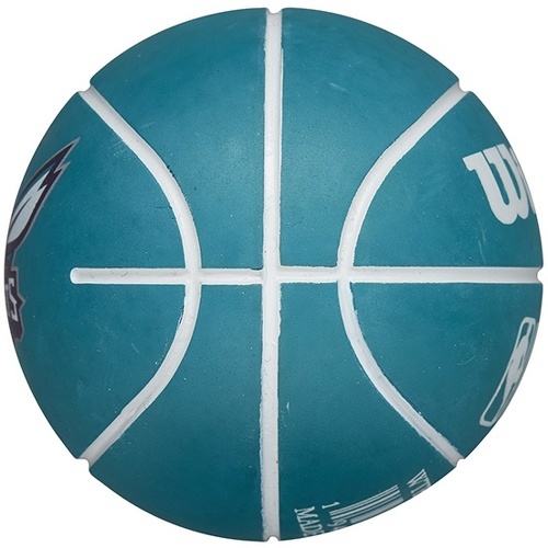 WILSON-Nba Dribbler Basketball Charlotte Hornets-1