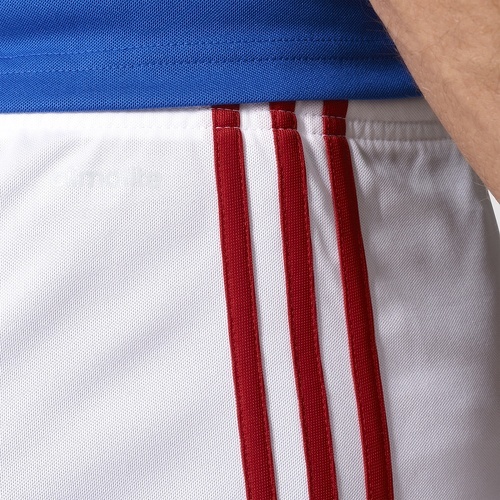 adidas Performance-Short Squadra 17-4