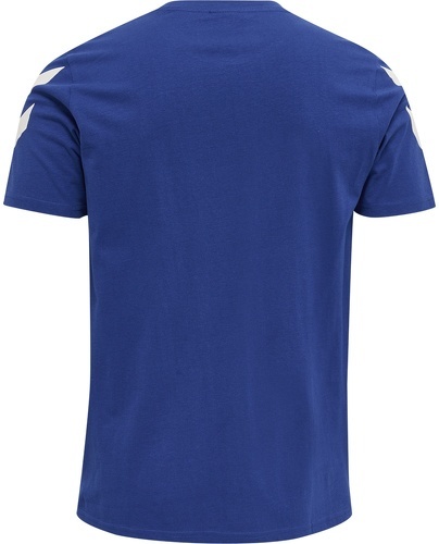 HUMMEL-Hmllegacy Chevron T-Shirt-1