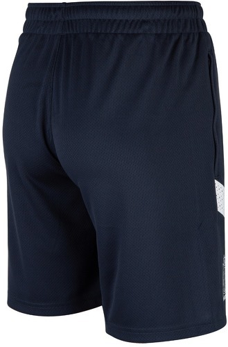 PUMA-Short Entraînement OM Bleu-1