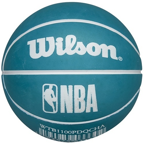 WILSON-Nba Dribbler Basketball Charlotte Hornets-2