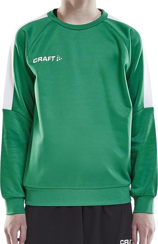 CRAFT-Craft Progress R-neck-1