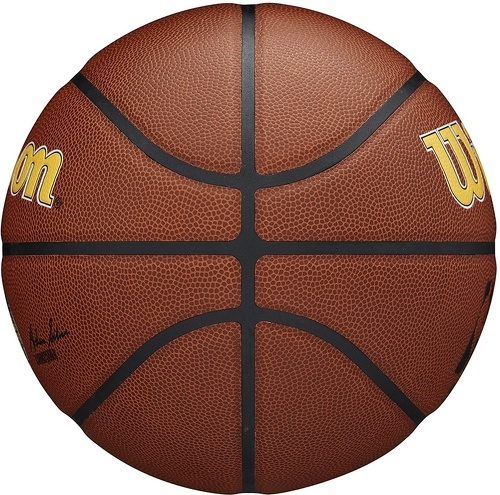 WILSON-Wilson Team Alliance Indiana Pacers Ball-3