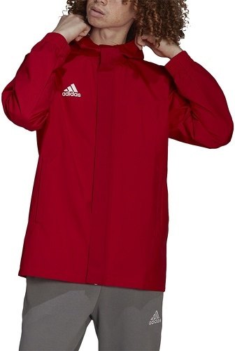 adidas Performance-Ent22 Aw - Veste de football-3