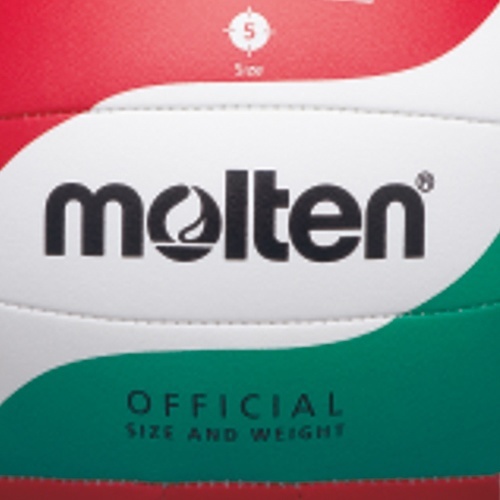 MOLTEN-V5M1500 Volleyball-1