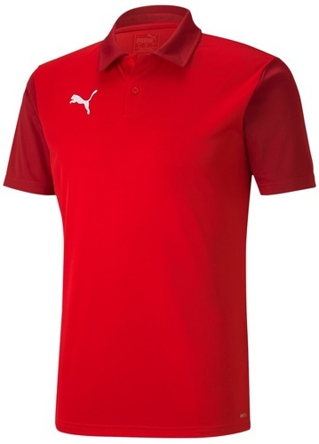 PUMA-Teamgoal 23 - Polo-4