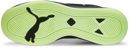 PUMA-Accelerate Pro 2-1