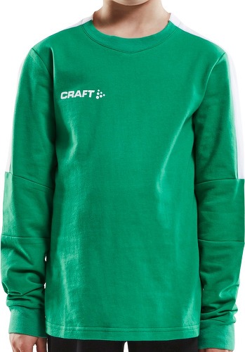 CRAFT-Craft Progress Gk-1