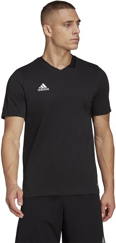 adidas Performance-T-shirt Entrada 22-4