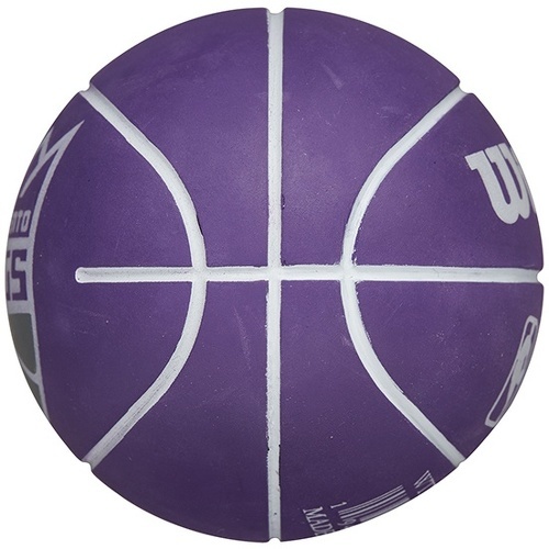 WILSON-Nba Dribbler Basketball Sacramento Kings-1