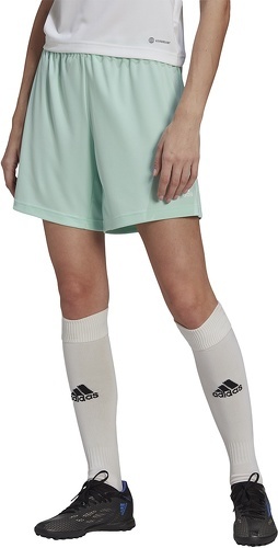adidas Performance-Short Entrada 22-3