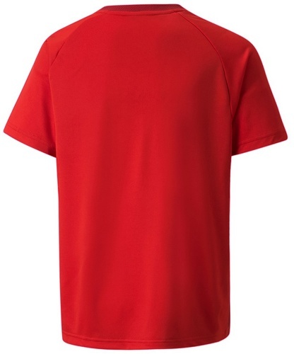 PUMA-Teamvision - Maillot de handball-1