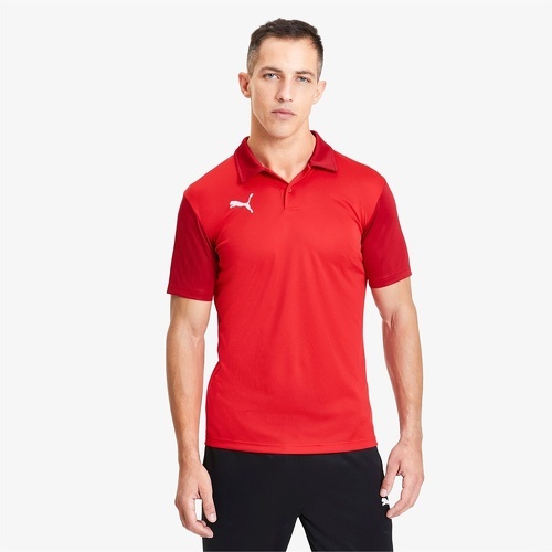 PUMA-Teamgoal 23 - Polo-2