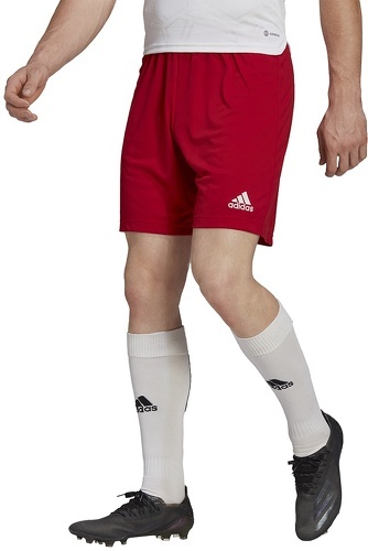 adidas Performance-Short Entrada 22-4