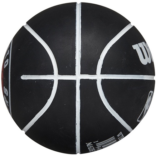 WILSON-Nba Dribbler Basketball Toronto Raptors-1