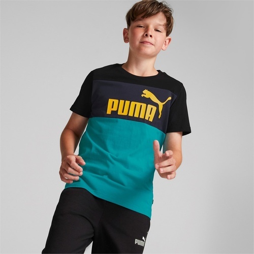 PUMA-Ess+ Colorblock Tee B-2