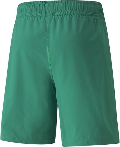 PUMA-Teamfinal Shorts-1