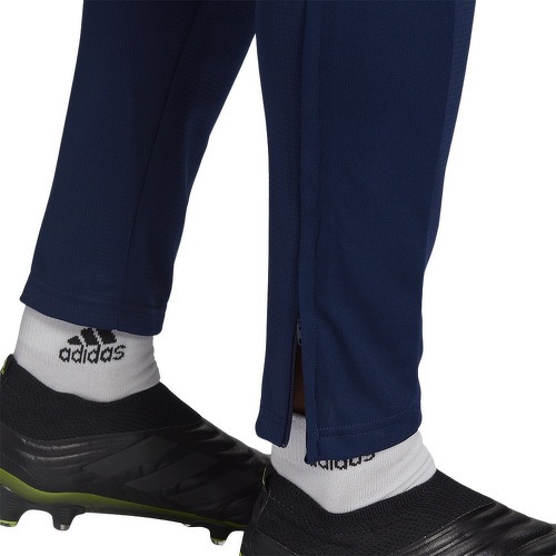 adidas Performance-Pantaloni da allenamento Condivo 21 Primeblue-4