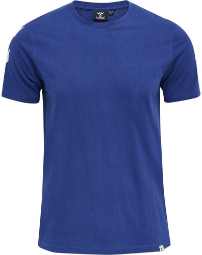 HUMMEL-Hmllegacy Chevron T-Shirt-2