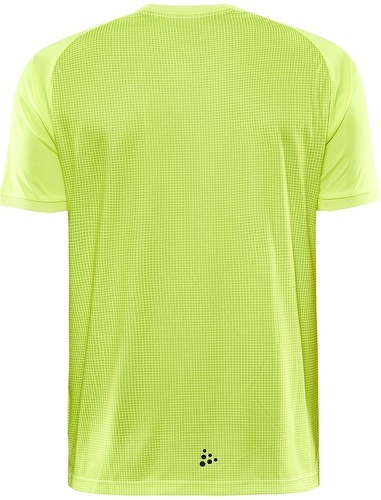 CRAFT-Evolve Arbitre-1