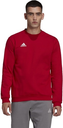 adidas Performance-Ent22 Sw - Sweat de football-4