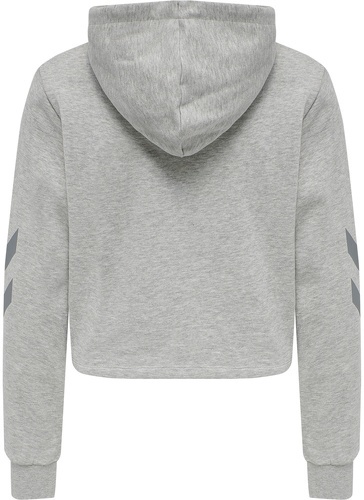 HUMMEL-Hummel Hmllegacy Cropped - Sweat de fitness-1